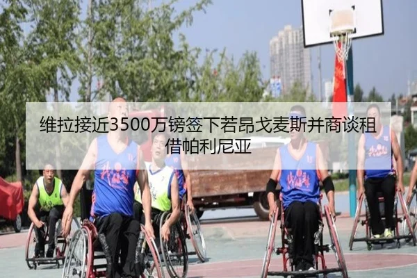 维拉接近3500万镑签下若昂戈麦斯并商谈租借帕利尼亚